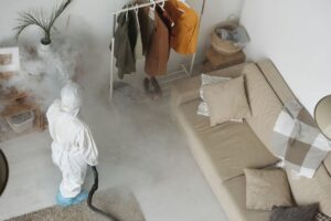 Schädlingsbekämpfer Wien 2026: 5 Anbieter im Vergleich